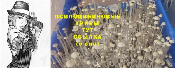гидропоника Нефтегорск
